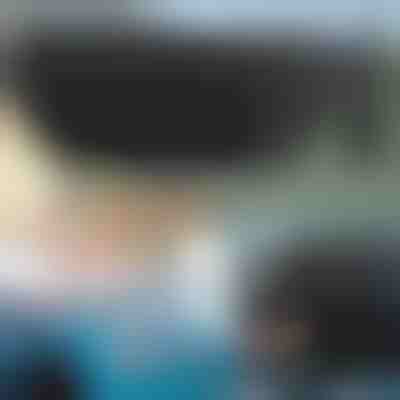 Zložljiv senčnik za vetrobransko steklo | SHADESHELLA