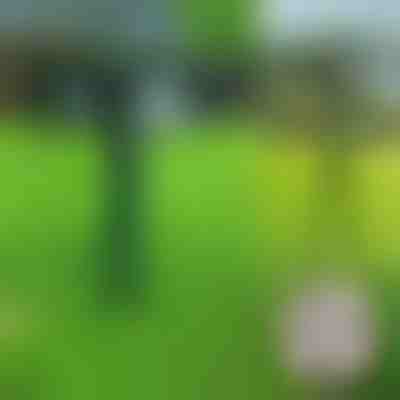 Ultrazvočni solarni odganjalec za zaščito pred neželenimi živalmi | SONICFIELD