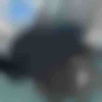 Vrtljiva blazina za lažje vstajanje in sedenje (360°) | SPINPAD