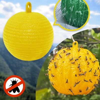 Lepljiva past za muhe (6 kosov) | BUGIORB