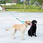 CROSSLEASH