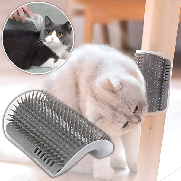 PURRCORNER