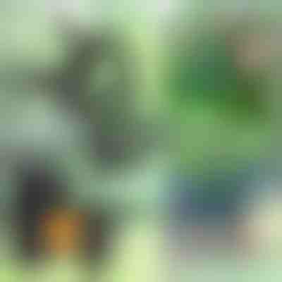 Sponke za rastline (14 kosov) | PLANTPIN