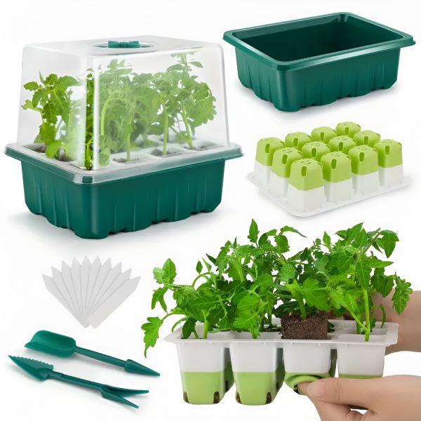 PLANTURKA__59bb6915