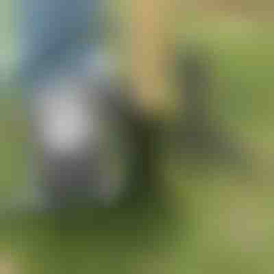 Orodje za odstranjevanje plevela | ROOTNIK