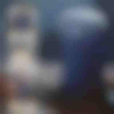 Večnamenski mlinček za vse vaše potrebe | GRIDZ