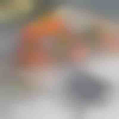 BBQ Mreža za žar (2 kosa) | GRILLRUN