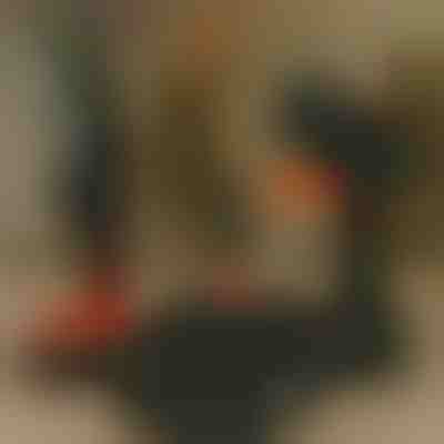 Dodatna baterija za motorno žago | BRENCHIBATTERY