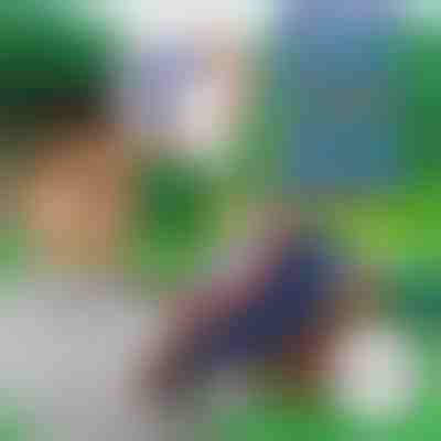 10+10 BREZPLAČNIH penastih puščic za BLASTKID | F2OAMBULLETS