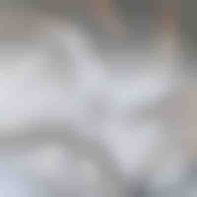 Nadomestno rezilo za GRIDZ