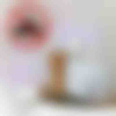 UV past za molje in komarje + 6 lepljivih plošč GRATIS