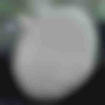 Zaščitno pokrivalo za volan